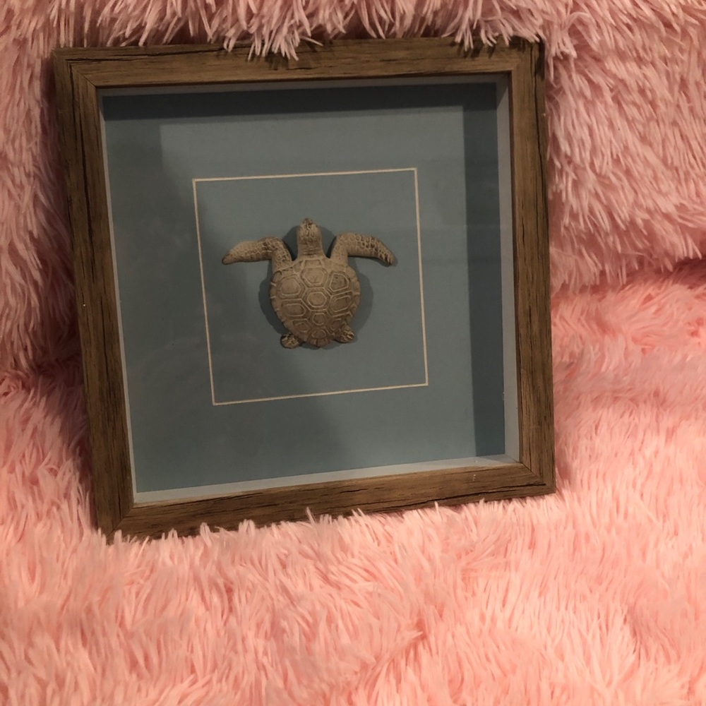 Sea Turtle Shadow Box Picture frame